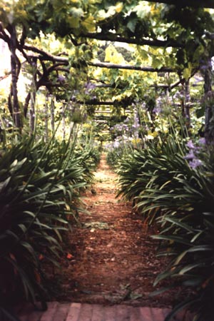 Capri garden