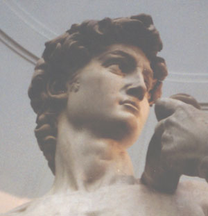 Michelangelo's David