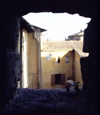 A feather caught in a spider web in a small window in a tower in Siena