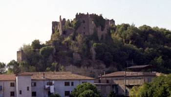 Views from the train to Firenze